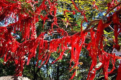 《博德之门3》正式版捏脸实机  8月3日发售