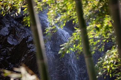 新世界NewWorld汉化教程 进不去服务器解决办法